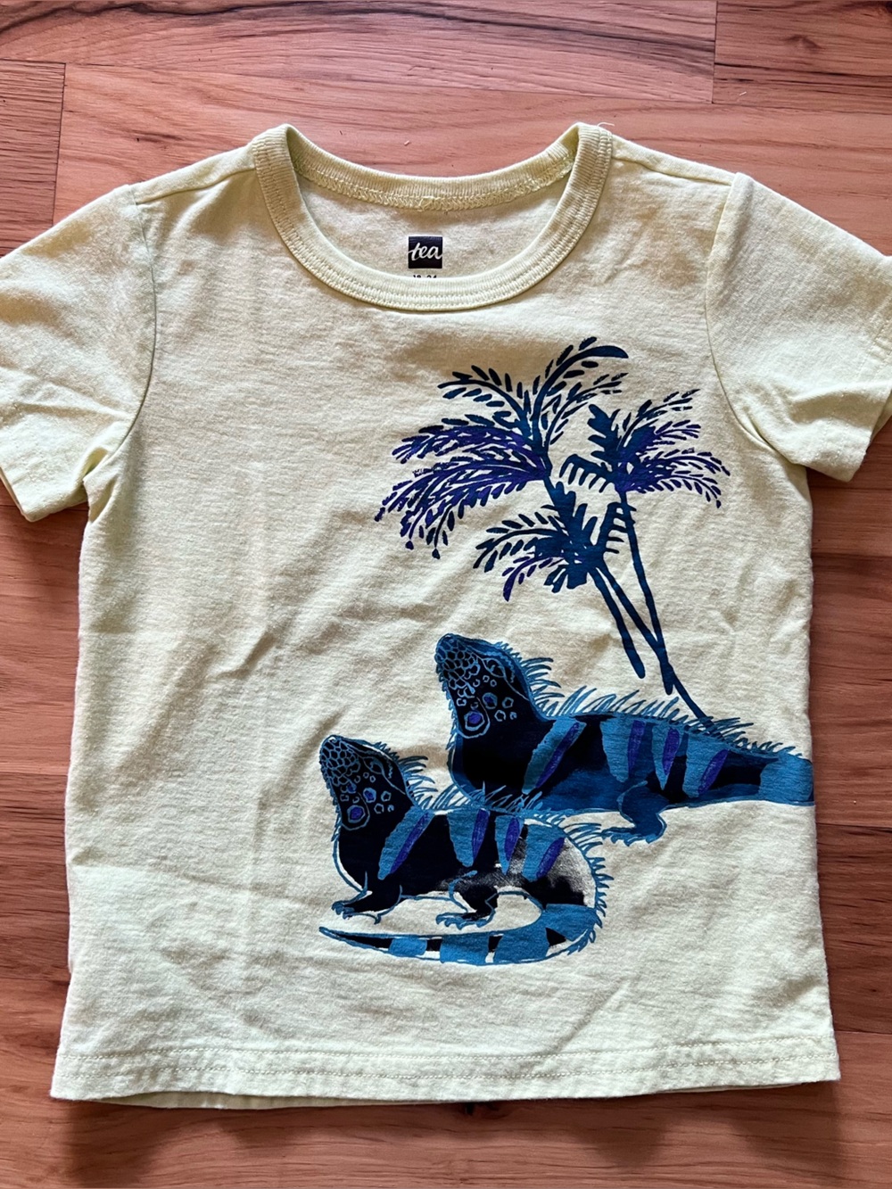 Tea Collection Cream Kids T-Shirt with Blue Iguana Print